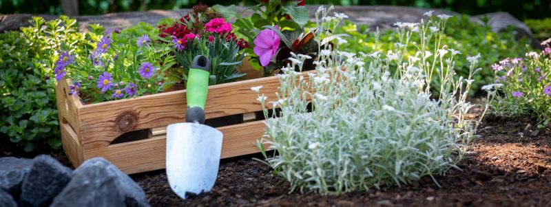 Flower Planting Service