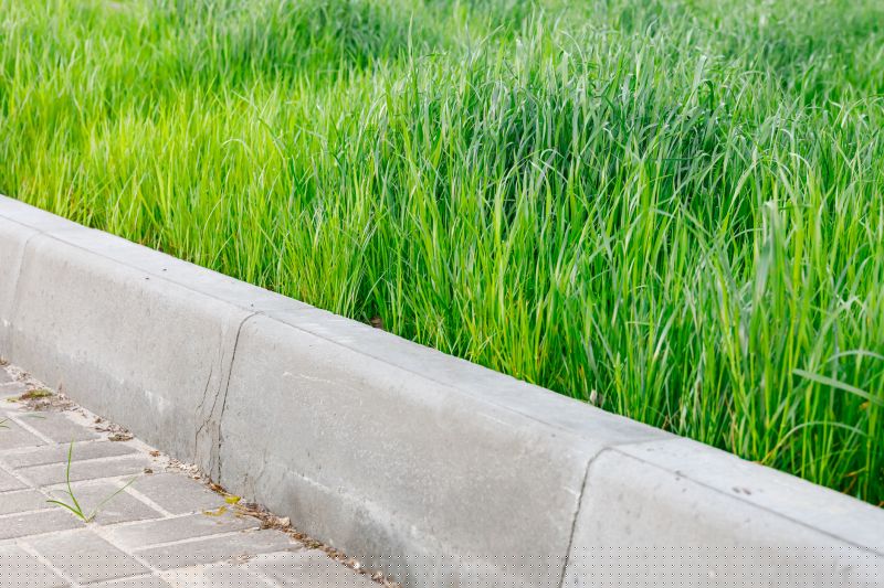 Landscape Curb Appeal Service