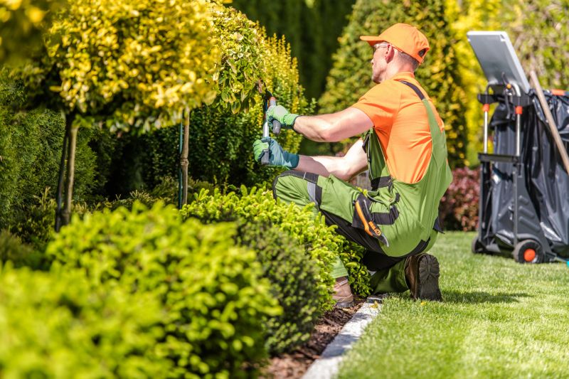 Yard Edging Service