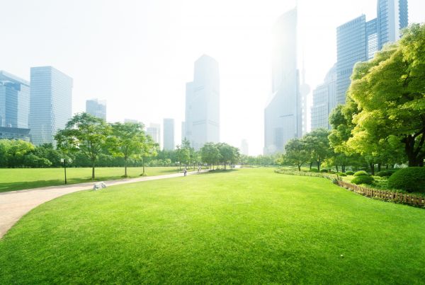 Commercial Landscape Maintenance in American Fork
