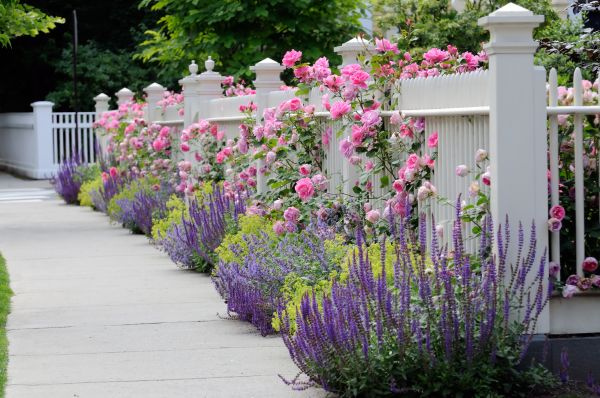 Garden Handyman Service in American Fork