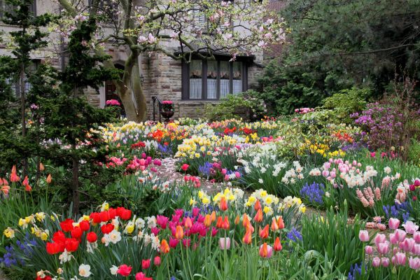 Garden Maintenance Service in American Fork