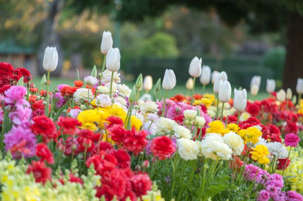 Gardening Service in American Fork