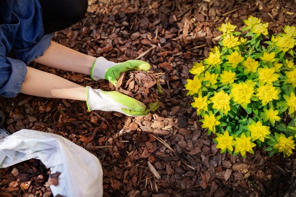 Pine Bark Delivery in American Fork