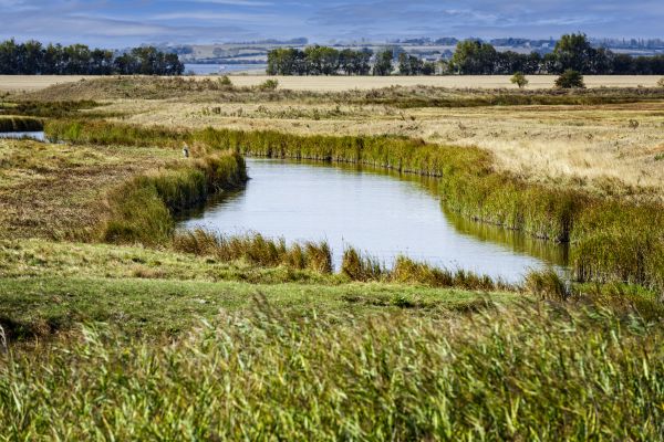Swale Landscaping in American Fork
