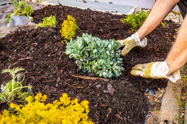 Weeding And Mulching in American Fork