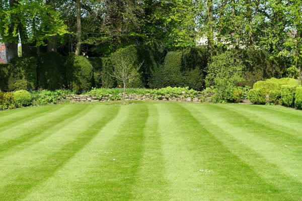 Lawn Renovation in American Fork