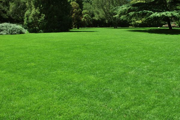 Lawn Landscaping in American Fork