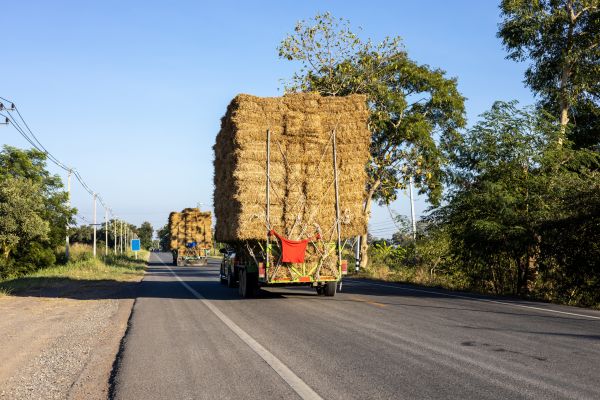 Pine Straw Delivery in American Fork