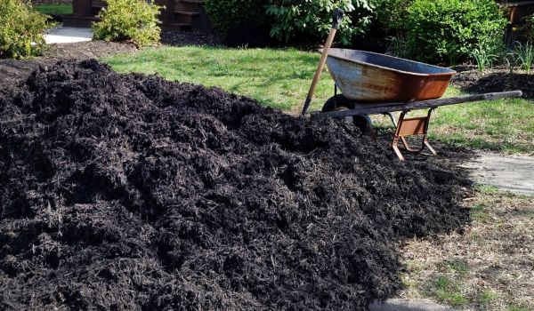 Black Mulch Delivery in American Fork
