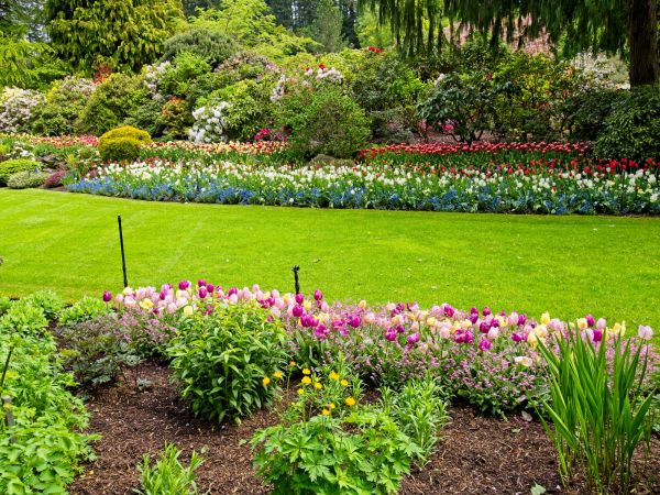 Residential Landscape Design in American Fork