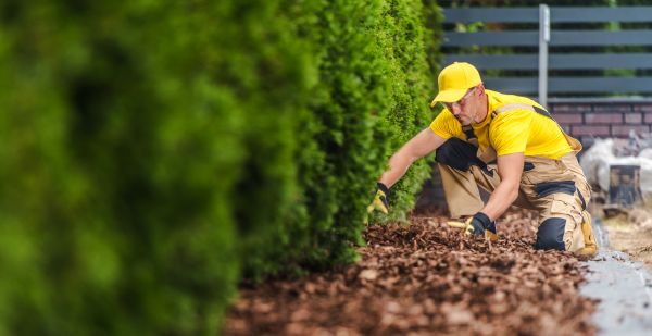 Cypress Mulch Installation in American Fork