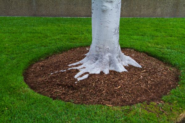 Brown Mulch Installation in American Fork