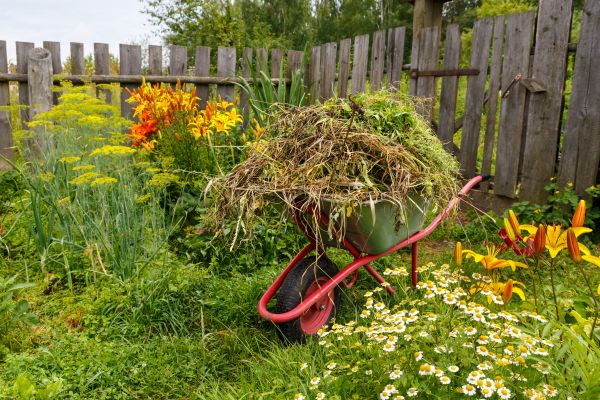 Garden Cleanup Service in American Fork