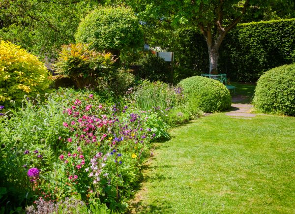 Yard Landscaping Service in American Fork