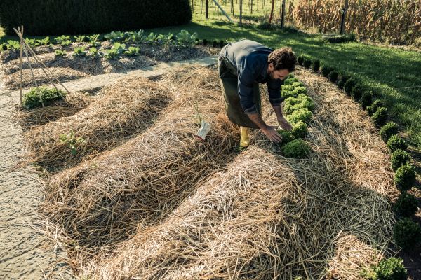 Straw Mulching Service in American Fork