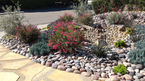 Xeriscape Landscaping in American Fork