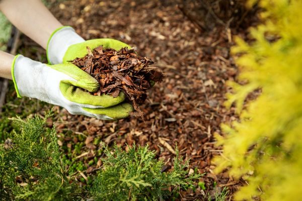 Garden Mulch Delivery in American Fork