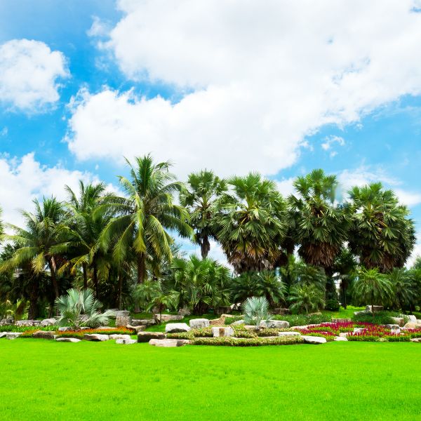 Tropical Landscaping in American Fork