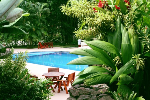 Tropical Garden Landscaping in American Fork