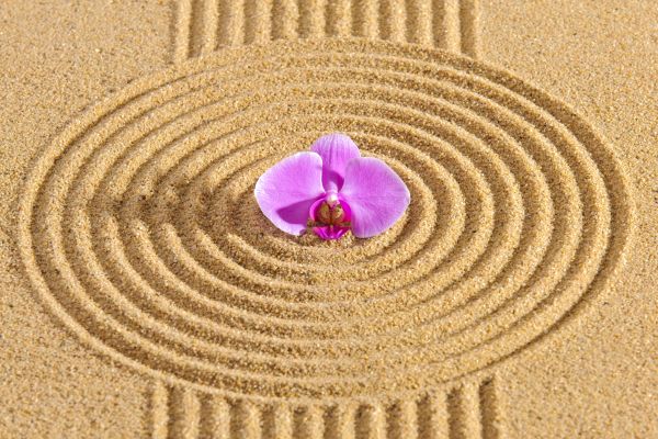 Sand Garden Landscaping in American Fork