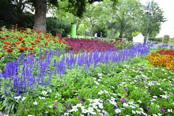 Perennials Planting in American Fork