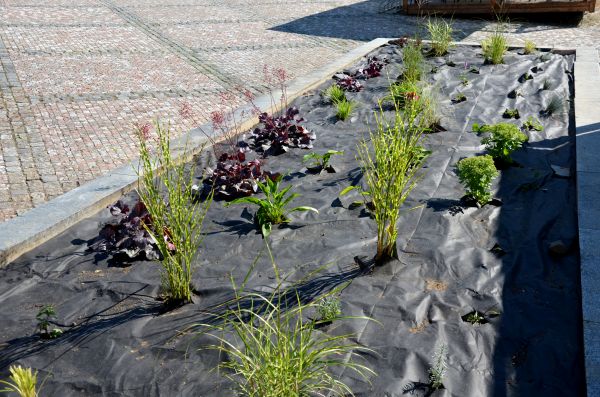 Landscape Fabric Installation in American Fork