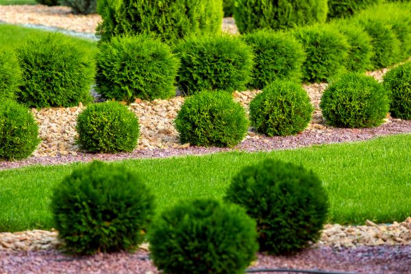 Bush Installation in American Fork