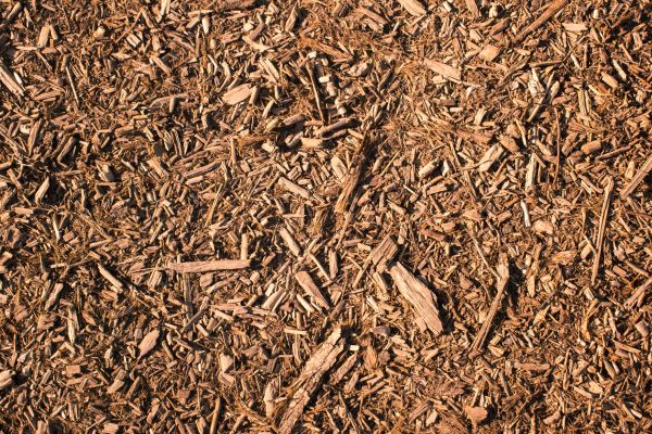 Wood Chips Removal in American Fork