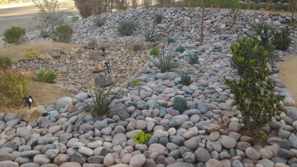 Yard Xeriscaping in American Fork