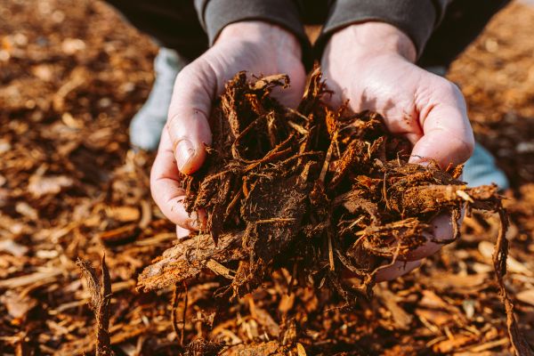 Bark Chips Delivery in American Fork