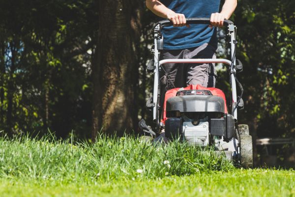 Garden Trimming Service in American Fork
