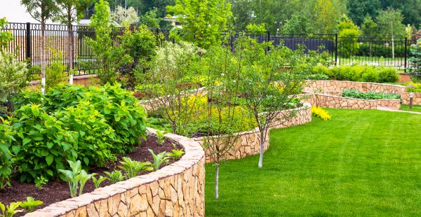 Yard Makeover Service in American Fork