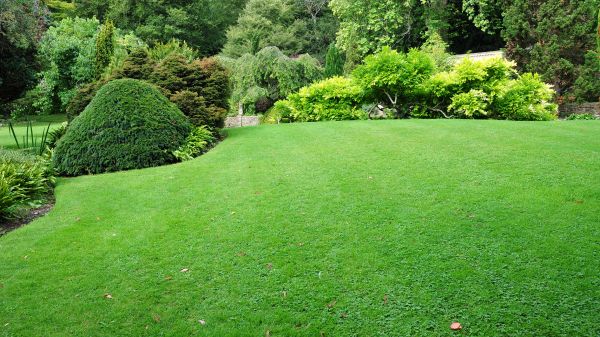 Commercial Landscape Design in American Fork