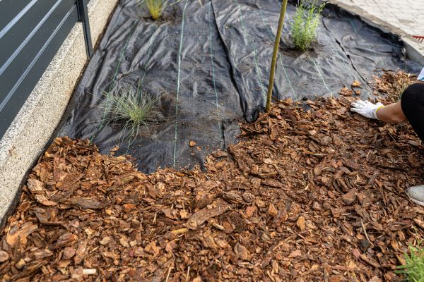 Pine Bark Spreading in American Fork