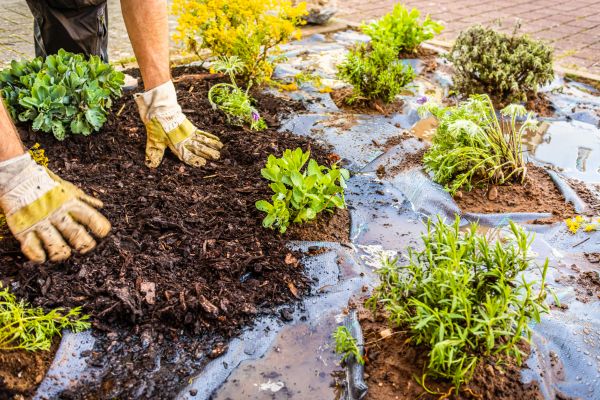 Mulch Fabric Installation in American Fork