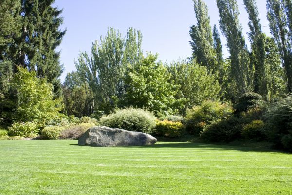 Yard Enlargement in American Fork