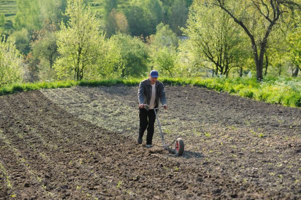 Plant Bed Weeding in American Fork