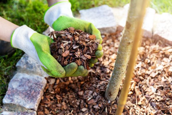 Tree Bark Delivery in American Fork