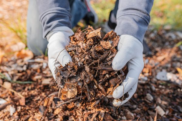 Shredded Mulch Installation in American Fork