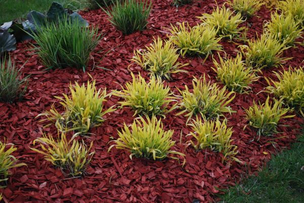 Red Mulch Installation in American Fork