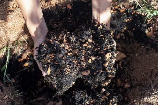 Organic Mulch Installation in American Fork