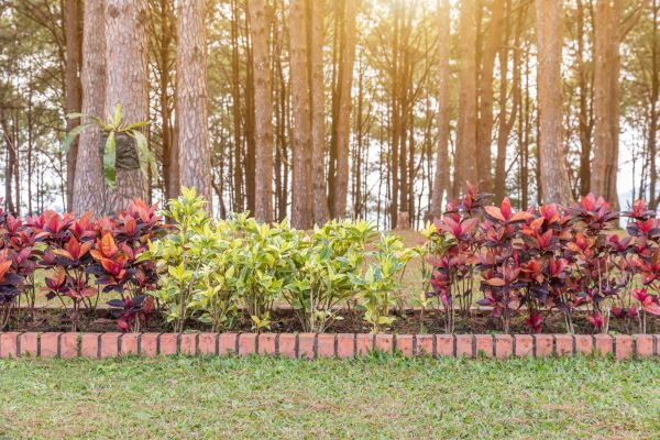 Small Garden Landscaping in American Fork
