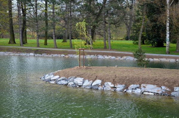 Pond Landscaping Service in American Fork