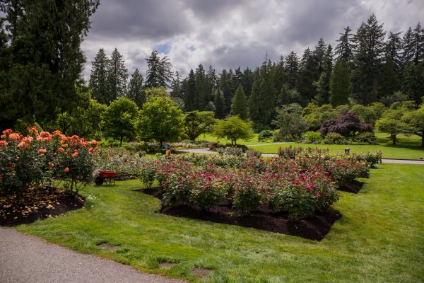 Flower Garden Landscaping in American Fork