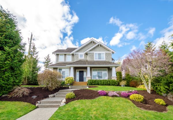 Landscaping Replacement in American Fork