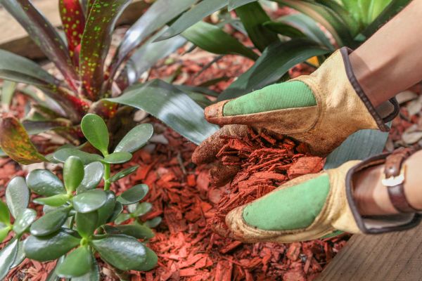 Residential Mulching in American Fork