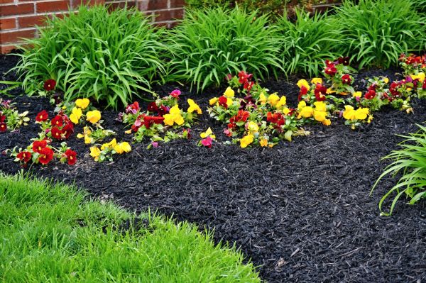 Apartment Mulching in American Fork
